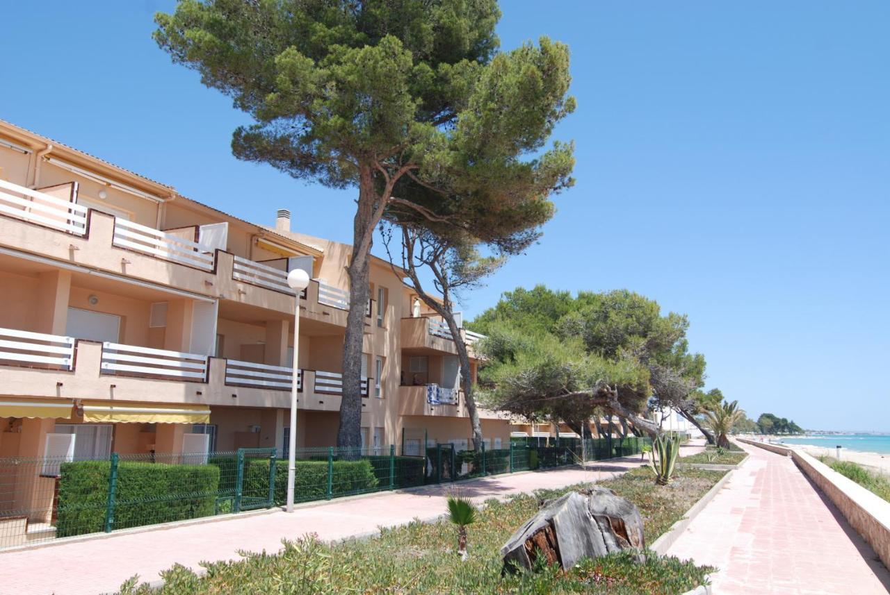 Residencial Guardamar Zeus *
